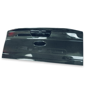 Ford F150 Carbon Fiber Tailgate [2021+]
