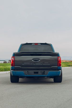 Ford F150 Carbon Fiber Tailgate [2021+]